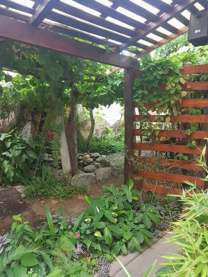 Casa Prana Estudio De Yoga カファヤテ エクステリア 写真