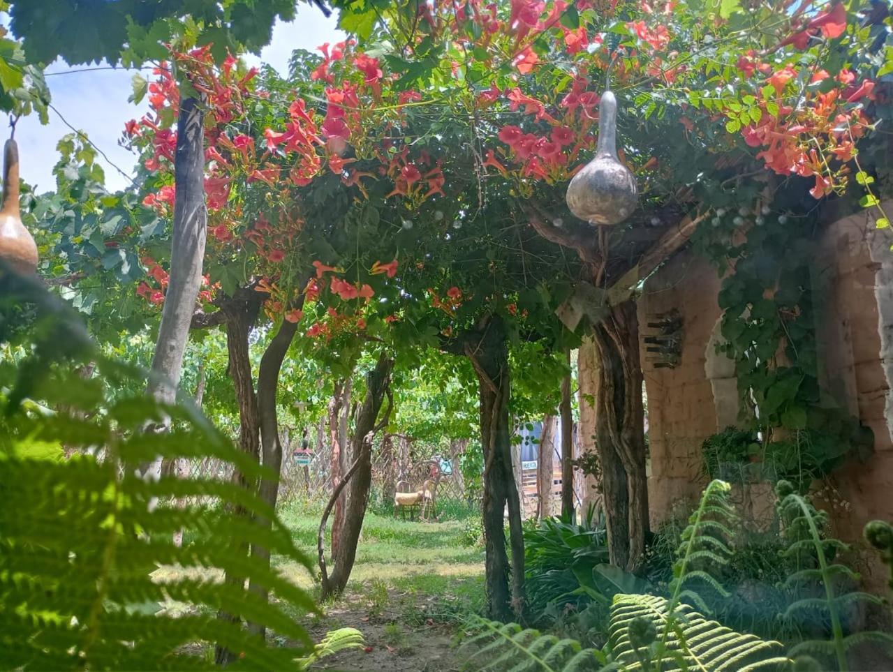 Casa Prana Estudio De Yoga カファヤテ エクステリア 写真
